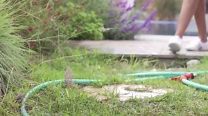 Présentation robot Maytronics Dolphin Master 3 - Cash Piscine