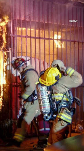 1.6K views · 16 reactions | Qualitymoment Productions on Reels | Facebook