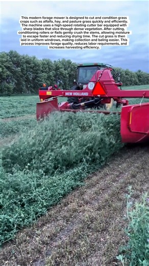 Modern High-Speed Forage Mower | Efficient Grass Harvesting Machine
