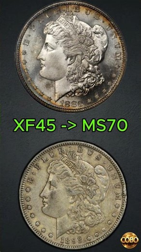 [Morgan Dollar] XF45 → MS70 (Real Coin Grades) | @CoinsOnlyBillionairesOwn