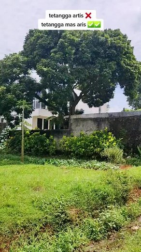 kutandai kau mas aris #layanganputus #masaris #kinan