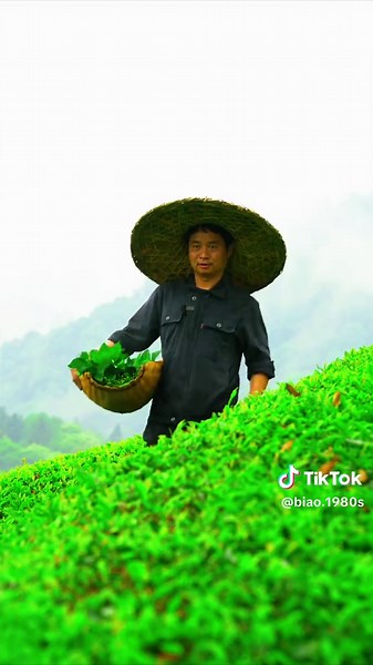 Nồi Lẩu Rau Dại: Khám Phá Hương Vị Mới Lạ