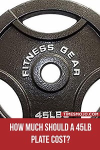 How much should a 45lb plate cost? - TimesMojo