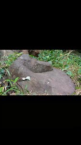 4.1K views · 30 reactions | Treasure hunting found unusual engrave snake coated rock markings #everyoneシ゚ #fbreels #reels #virals #treasure #everyone #share #explore | JMD Compass | Facebook