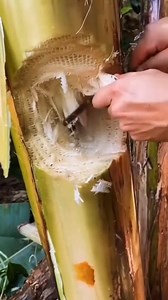 5.5K views · 17 reactions | best funny | Physics Theories | Facebook