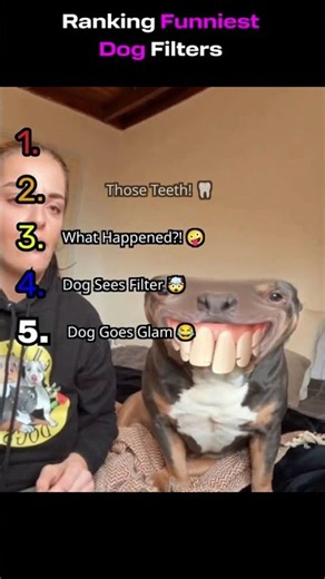 🐶 Ranking Funniest Dog Filters 😂