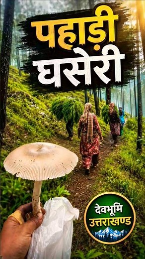 Roulayun KI Ghaseri He || Top Five Old Garhwali Song Narendra Singh Negi & Meena Rana#nsnegioldsong
