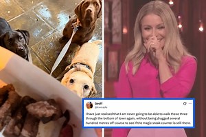 "I'm So F*cking Stupid": I'm Sorry, But I SERIOUSLY Cannot Stop Laughing At These 27 Hysterical Fails From Last Week