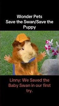6 Random Clips of Nickelodeon Animal Friends 2009 DVD