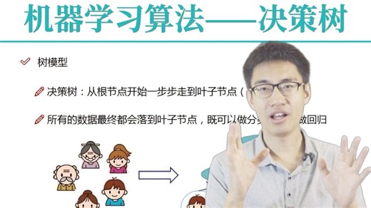 机器学习必学算法！这绝对是B站最通俗易懂的【决策树算法】教程！迪哥精讲决策树原理 代码实现 实战，手把手教你构建模型！（机器学习算法/决策树模型）