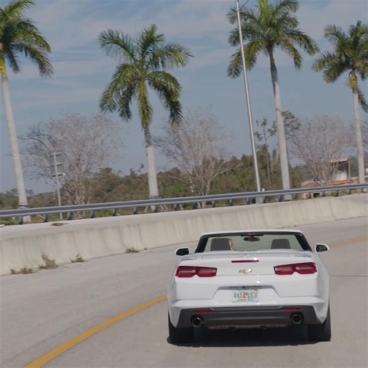 Our brand-new fleet is ready to roll, just in time for your next trip. | Hertz | Facebook