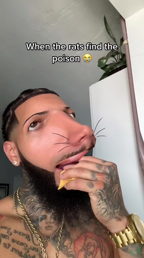 When the rat poison finally works. #mouse #rat #ratpoison #funny #comedу #skit #fyp #fypシ