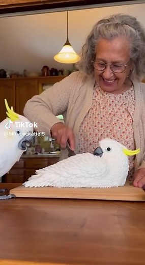 藍藍藍藍藍藍藍藍藍藍藍藍藍藍 | Christopher Warren Allen | Facebook