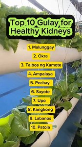 1.2M views · 13K reactions | “Alarming News! How to Protect Your Kidneys ✅ #health #tips #rooftop #harvest #protect #your #kidneys #trending #viral #inspire #create #educate #health #wealth #eatwell #fyp2025 #love | Vegetable Gardening and More | Facebook
