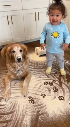 Dog Looks Guilty, Toddler Denies It—Flour Disaster Caught on Camera!