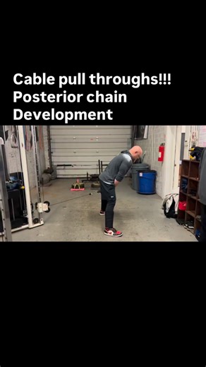 Cable Pull-Throughs Max posterior chain stimulus with minimal spinal compression. By keeping the load horizontal and the torso more upright, pull-throughs bias hip extension (glutes hamstrings) while reducing axial load on the spine—making them a high-return accessory for strength, power, and longevity. Zatsiorsky & Kraemer note that altering force vectors can maintain high muscular demand while lowering spinal loading demands—exactly why this movement earns its place in smart programming. Refer