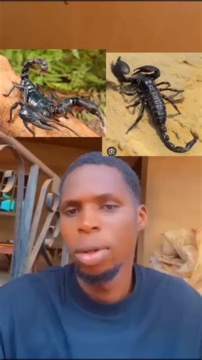 Explore Onitsha's Rich Culture and Heritage