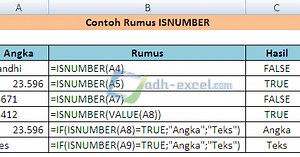 Rumus ISNUMBER Di Excel Untuk Mendeteksi Isi Cell Adalah Angka Atau Bukan