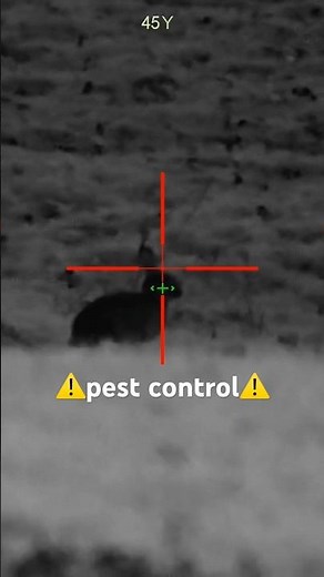 Vermin control #pestcontrol #pcphunters #hunting #accuracy #airgunning