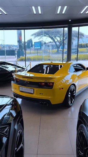 This 2014 Chevrolet Camaro ZL1 in the unmistakable yellow and black Bumblebee spec is pure attitude on four wheels. Supercharged power, wide body aggression, and a presence that still turns heads more than a decade later. Showing just 11,670 km, this is an exceptionally clean, low mileage example that belongs in a serious collection or in the hands of someone who appreciates real American performance. #CamaroZL1 #BumblebeeSpec #ChevroletZL1 #PharoahAuto #PharoahGroup AmericanMuscle CollectorCar 