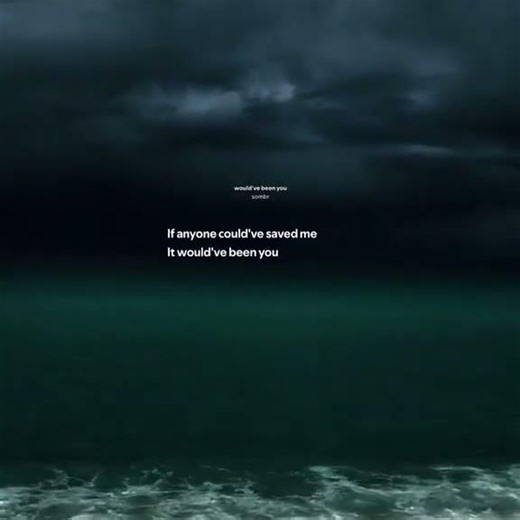 if anyone could've saved me... (Lyrics)