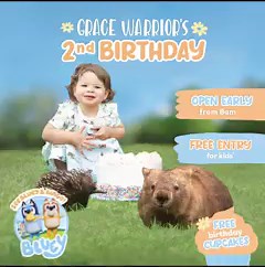 19K views · 2.4K reactions | Crikey! Our youngest Wildlife Warrior Grace is turning 2!  Join us at Australia Zoo on 25th March to enjoy free admission for children aged 14 & younger, a special interactive experience with Bluey and Bingo, an inflatable obstacle course, FREE birthday cupcakes and much more. We can’t wait to celebrate with you!  | Australia Zoo | Facebook
