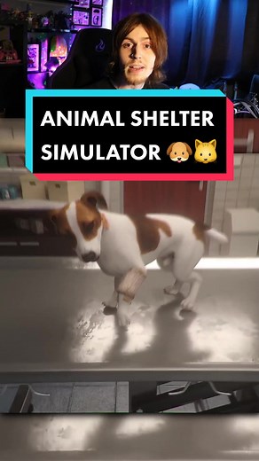 Run Your Own Animal Shelter Simulator - Cozy Gaming Experience