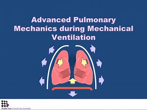 Advanced Pulmonary Mechanics during Mechanical Ventilation - SlideServe