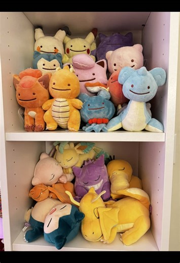 Organizing my pokemon plush collection: Part 2 🌟 . . . #pokemonplush #pokemon #collectionroom #officedecor #ditto