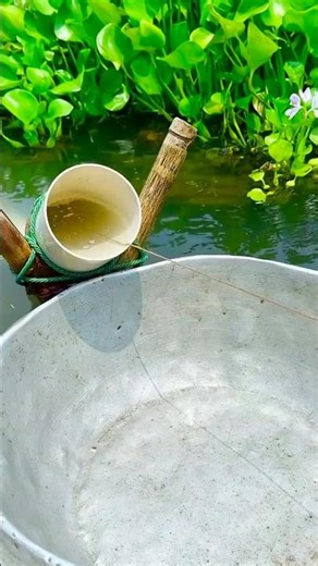 Genius Pipe Fish Trap Technique! Catching Unlimited Catfish 🐟⚡