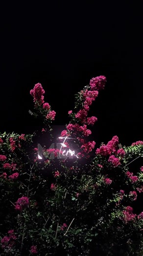 Tera mera rishta-Arjit singh lyrics...#trending #song #love #arjitsingh #viralreels #public #like