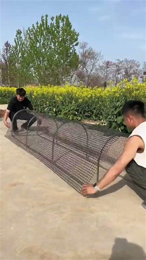 Modern Tunnel Chicken Cage System – Smart Poultry Farming! #chicken #chickencoop