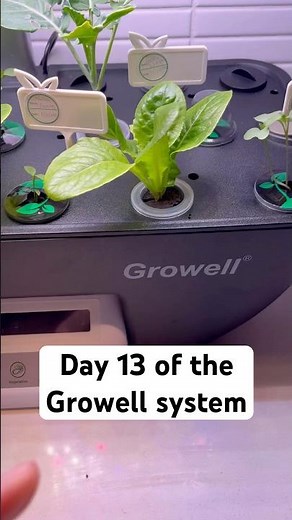Day 13 using the ‪@growell_official‬ system! #hydroponics #plants #indoorgardening