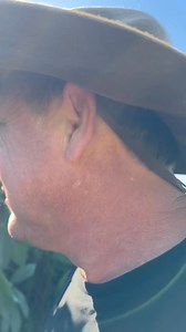 90K views · 4.3K reactions | O Caruaru tá bonito  | Dionisio Schaefer para pensar, refletir e agir | Facebook