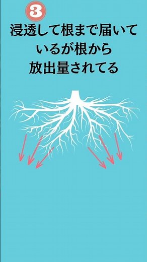 2023年最新オヒシバ対策！3つの原因