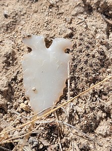 6.1K views · 124 reactions | Here's a video of that native american is arrowhead point I just came across? | John Johnson | Facebook