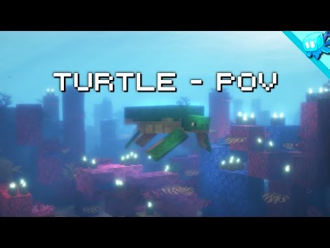 POV - You're a Turtle in Minecraft...🐢