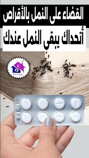 التخلص من النمل بسهولة #وصفاتي_my_recipes