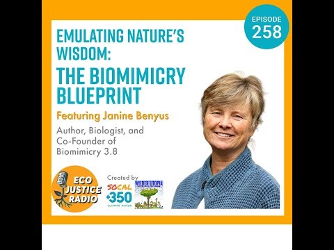 Emulating Nature's Wisdom: The Biomimicry Blueprint