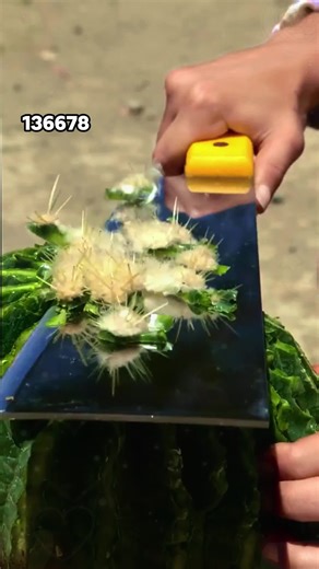 Watch the whole book for free, the tutorial is pinned at the top of the homepage#novel #story