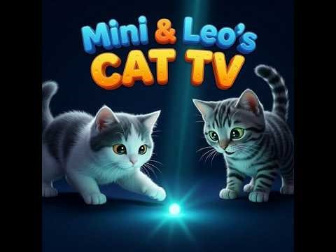 Cat TV for Cats — Laser Zigzag Chase Vol.2 | Laser Pointer Game
