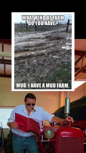 A mud farm? 🤣 #tractor #farming #farm #cowboy #usa #farmall #tractors #antique #classic #oldschool