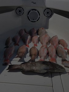 REEF & WRECK FISHING CHARTERS