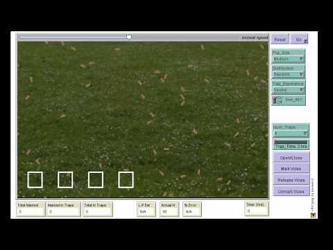 Mark Recapture Simulation Video