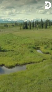 Cada avance trae un nuevo desafío. Esta cabaña parece jugar con sus constructores… ¿Lograrán terminarla? 🏡🔨😰 #ConstrucciónConObstáculos Disfruta el contenido de Discovery en MAX. Suscríbete ahora: https://bit.ly/MAX-DiscoveryLA | Discovery Latinoamérica