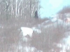 Manitoba, Canada 2007 Alleged Sasquatch Video