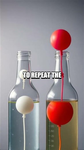 Balloon Buddies Fermentation at Home