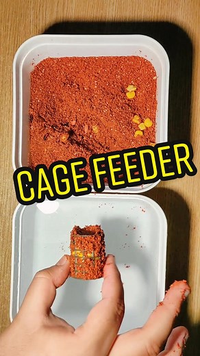 Apex Feeder pe TikTok