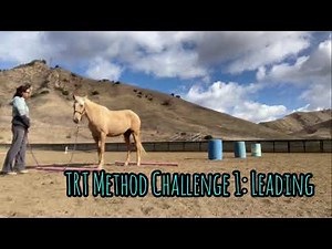 Groundwork: TRT Method Challenge 1