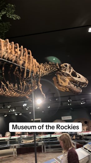 Exploring the Museum of the Rockies in Bozeman, Montana